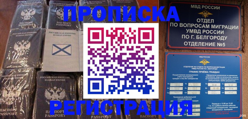 прописка гарантия в Нелидово